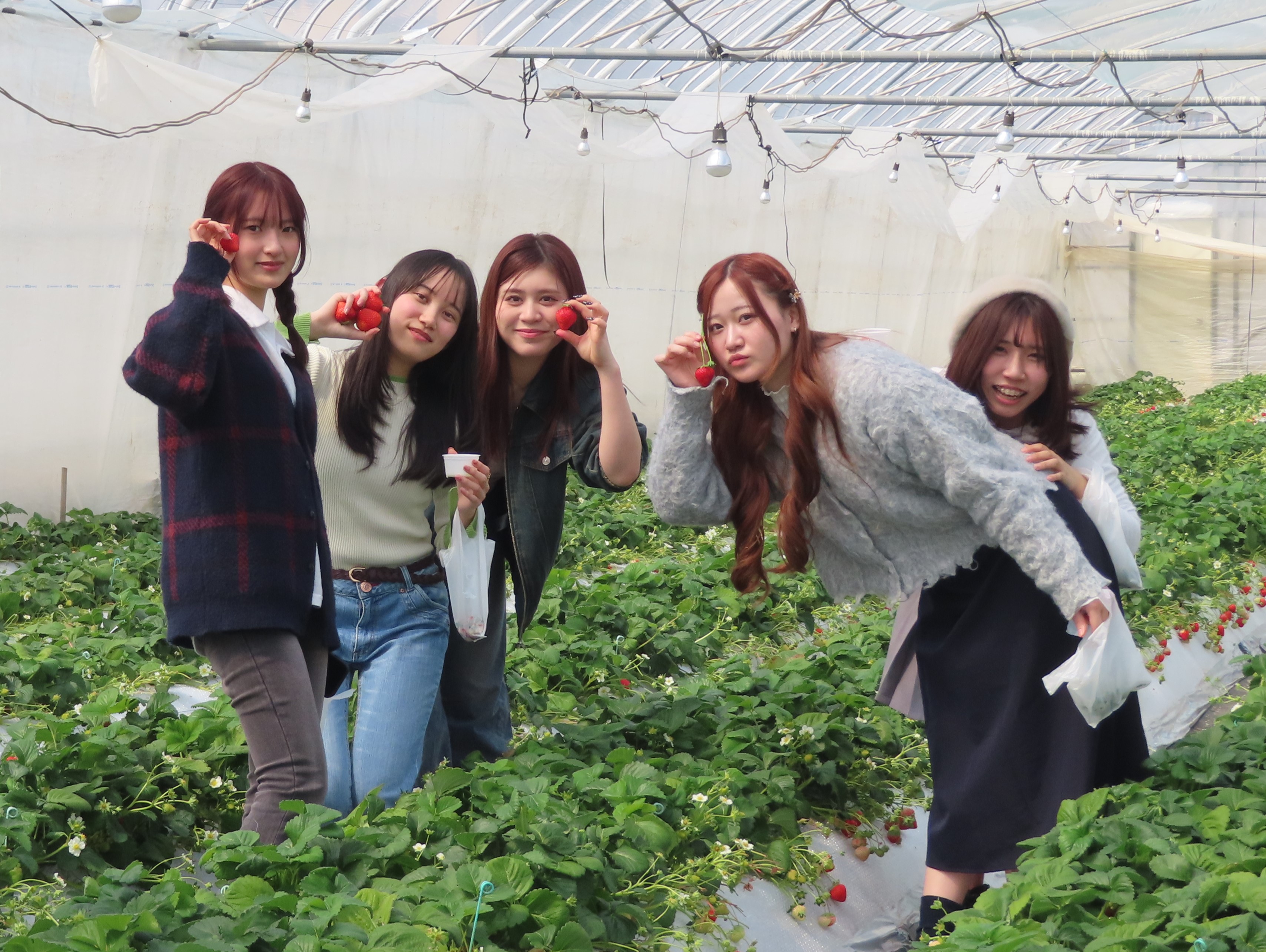 一ツ葉高等学校