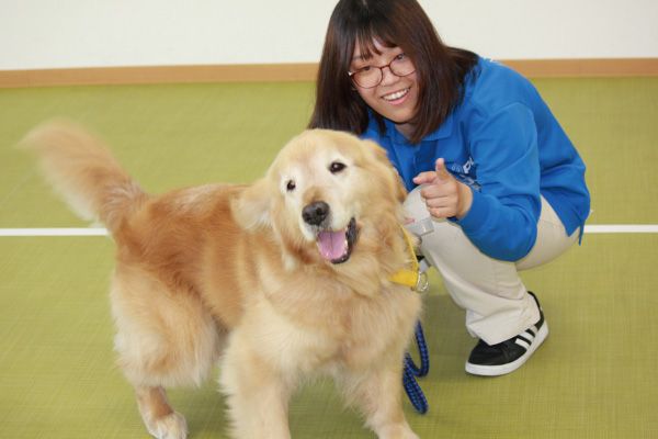 ペットからもらえる癒し効果は抜群