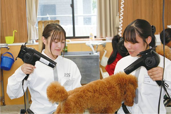 担当犬と一緒に学び、成長できる学校生活
