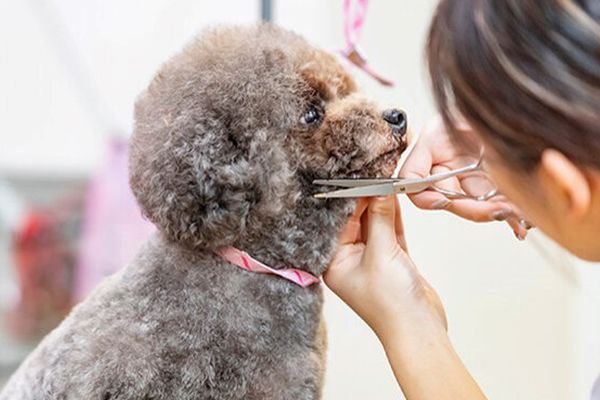 連携する専門学校で、基礎から学べる