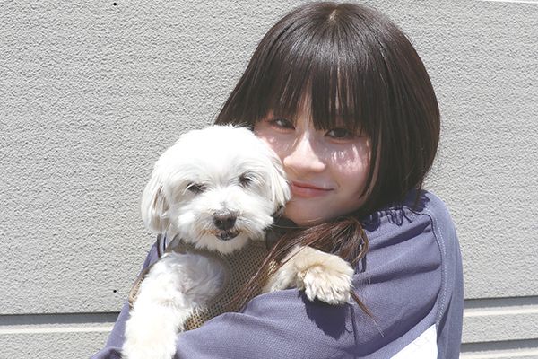自分の担当犬と、ペット業界の就職を目指す